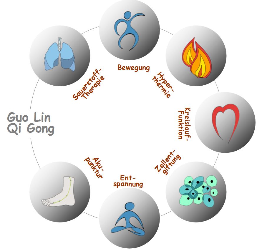 Guo Lin Qi Gong - Sieben Elemente